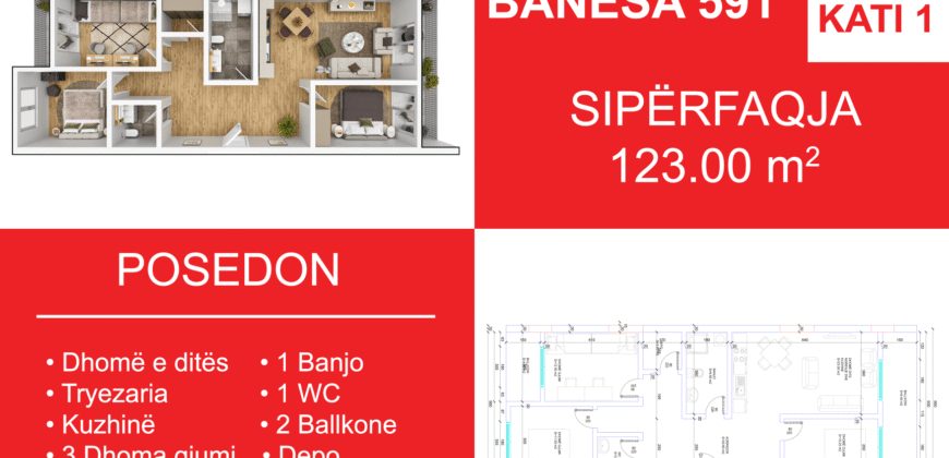 Banesa 591 Blloku i Ri “C4-C12” Hyrja C8