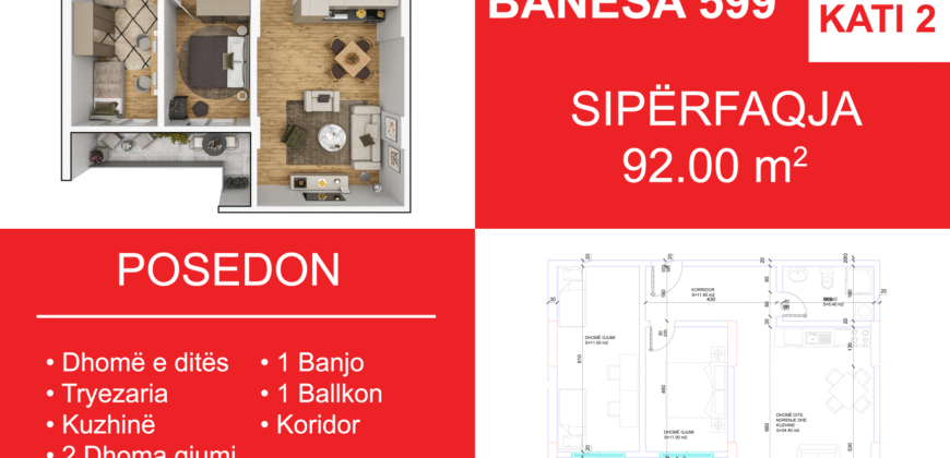 Banesa 599 Blloku i Ri “C4-C12” Hyrja C8