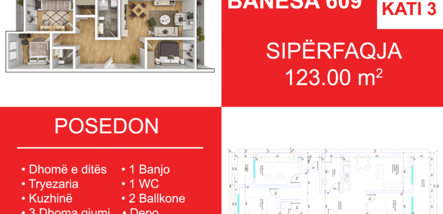 Banesa 609 Blloku i Ri “C4-C12” Hyrja C8