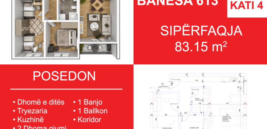Banesa 613 Blloku i Ri “C4-C12” Hyrja C8
