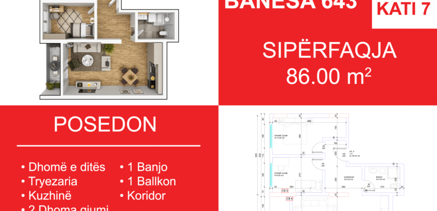 Banesa 643 Blloku i Ri “C4-C12” Hyrja C8