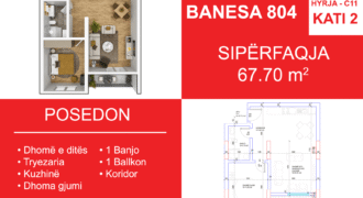 Banesa 804 Blloku i Ri “C4-C12” Hyrja C11