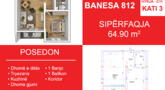 Banesa 812 Blloku i Ri “C4-C12” Hyrja C11