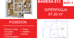 Banesa 813 Blloku i Ri “C4-C12” Hyrja C11