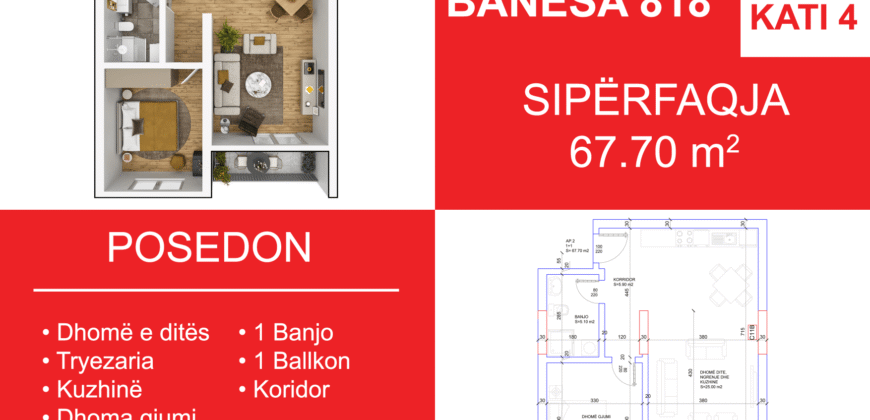 Banesa 818 Blloku i Ri “C4-C12” Hyrja C11