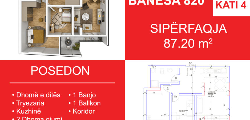 Banesa 820 Blloku i Ri “C4-C12” Hyrja C11
