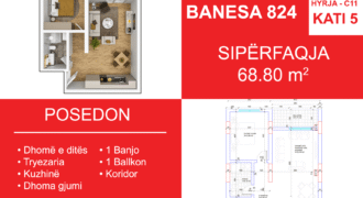 Banesa 824 Blloku i Ri “C4-C12” Hyrja C11