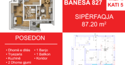 Banesa 827 Blloku i Ri “C4-C12” Hyrja C11