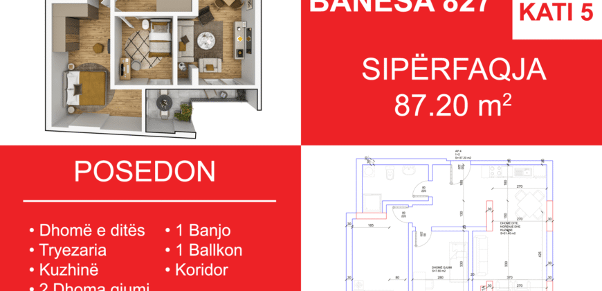Banesa 827 Blloku i Ri “C4-C12” Hyrja C11