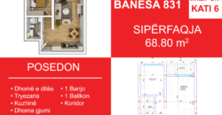 Banesa 831 Blloku i Ri “C4-C12” Hyrja C11