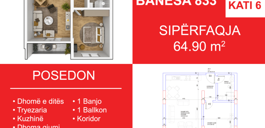 Banesa 833 Blloku i Ri “C4-C12” Hyrja C11