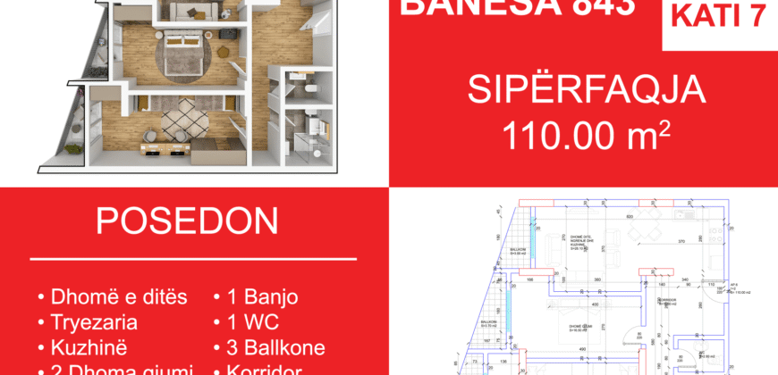 Banesa 843 Blloku i Ri “C4-C12” Hyrja C11